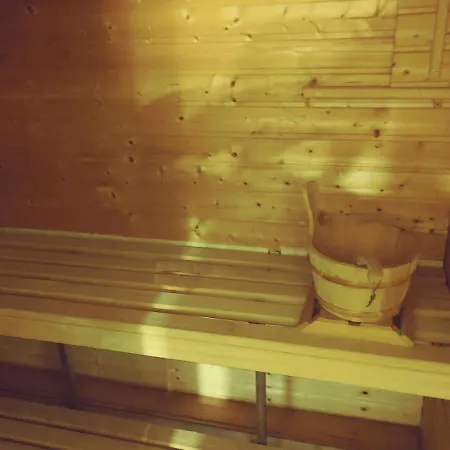 Apartment De Luxe Mit Sauna Braunschweig